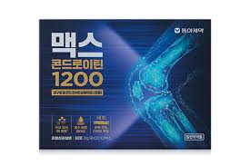 맥스 콘드로이틴1200